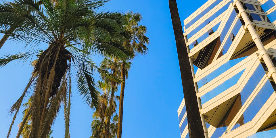 Palm-lined city architecture in Harare, Zimbabwe.